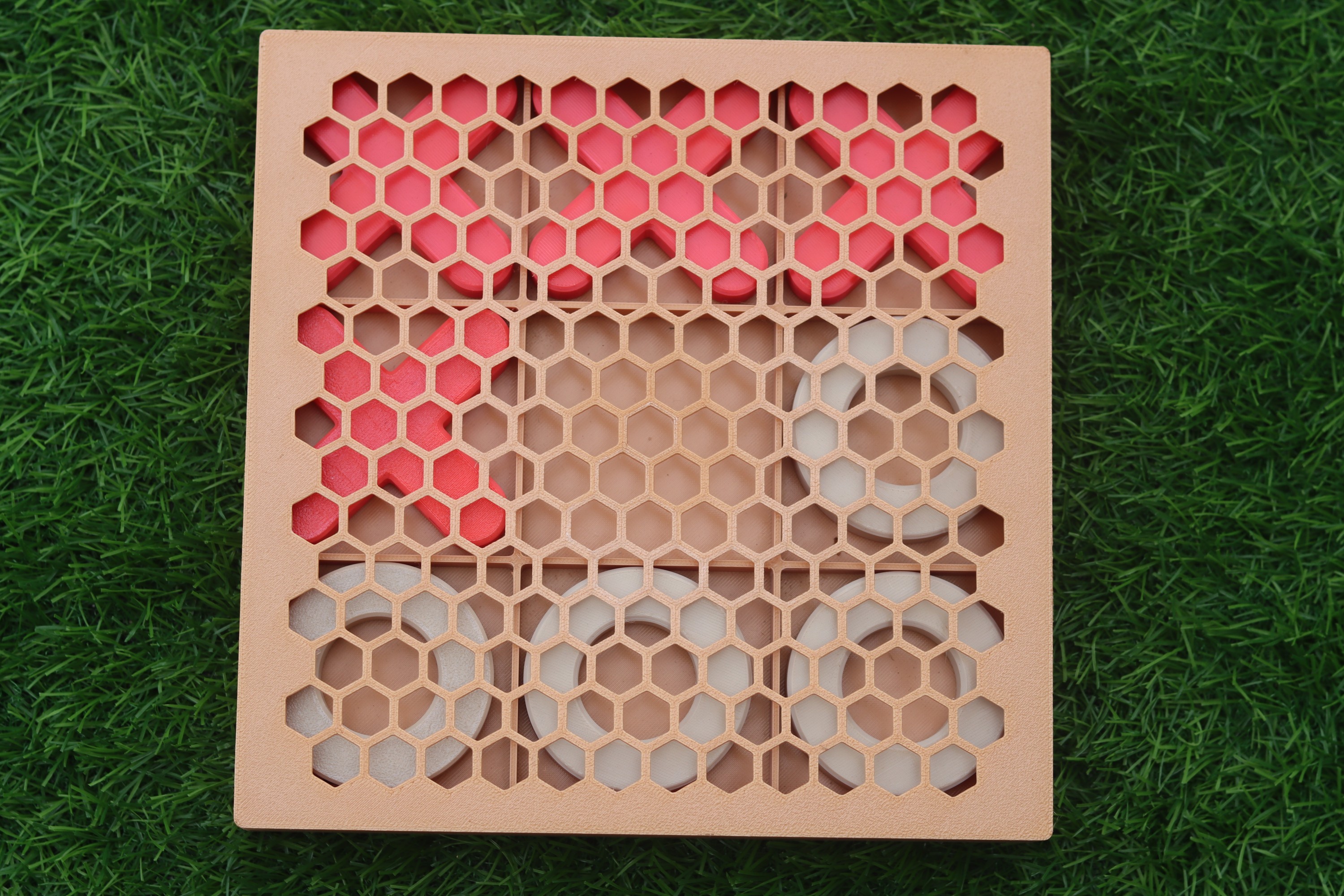 Vue 5